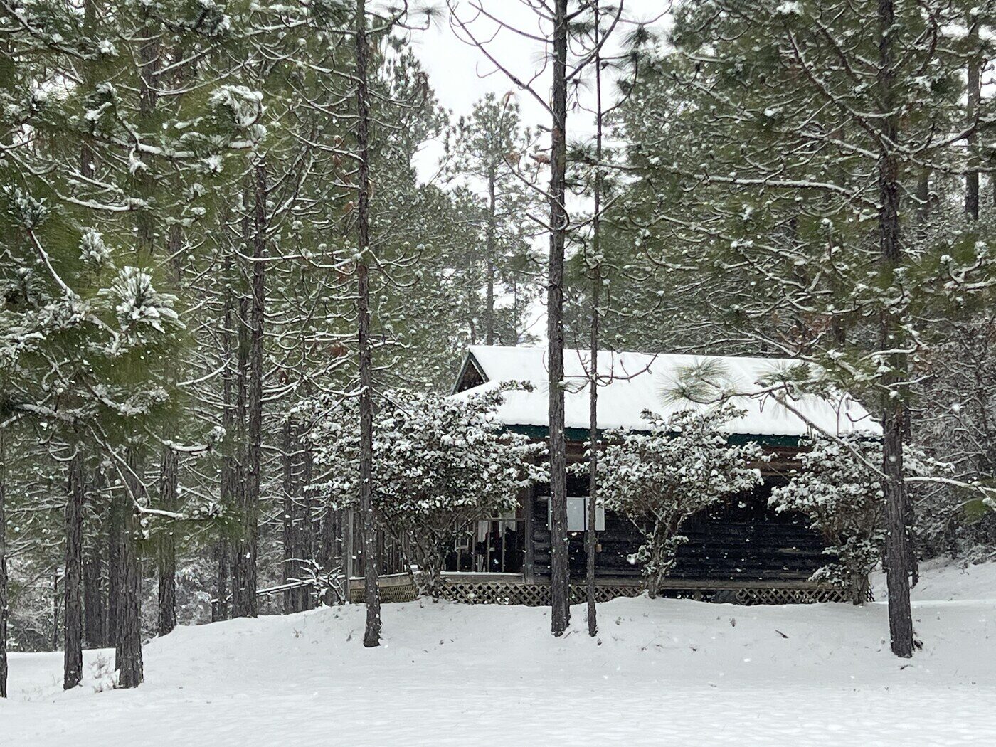 Studio cabin in the DeSoto pines