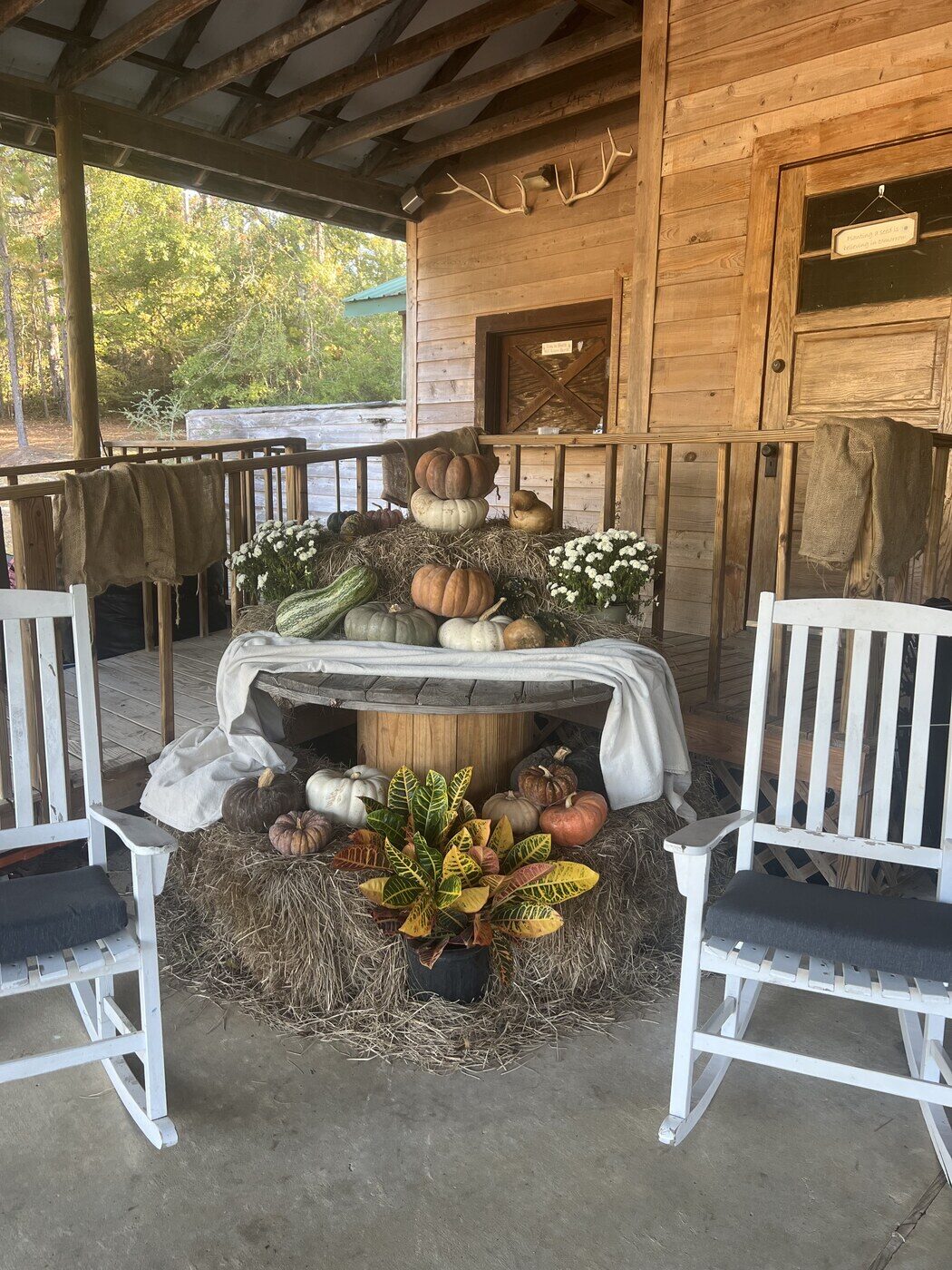 Cabin porch in fall