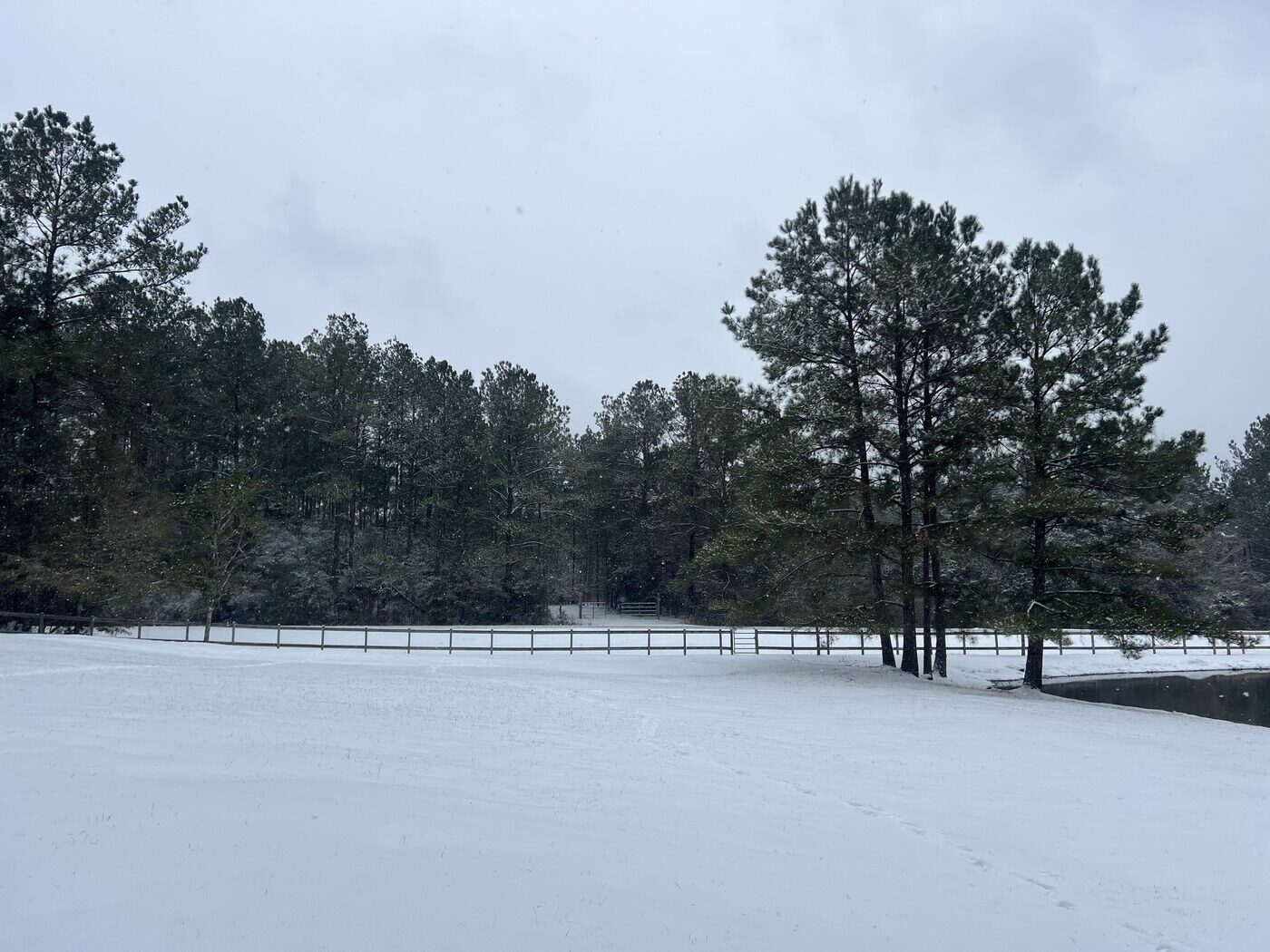 Open grounds at DeSoto Outfitters