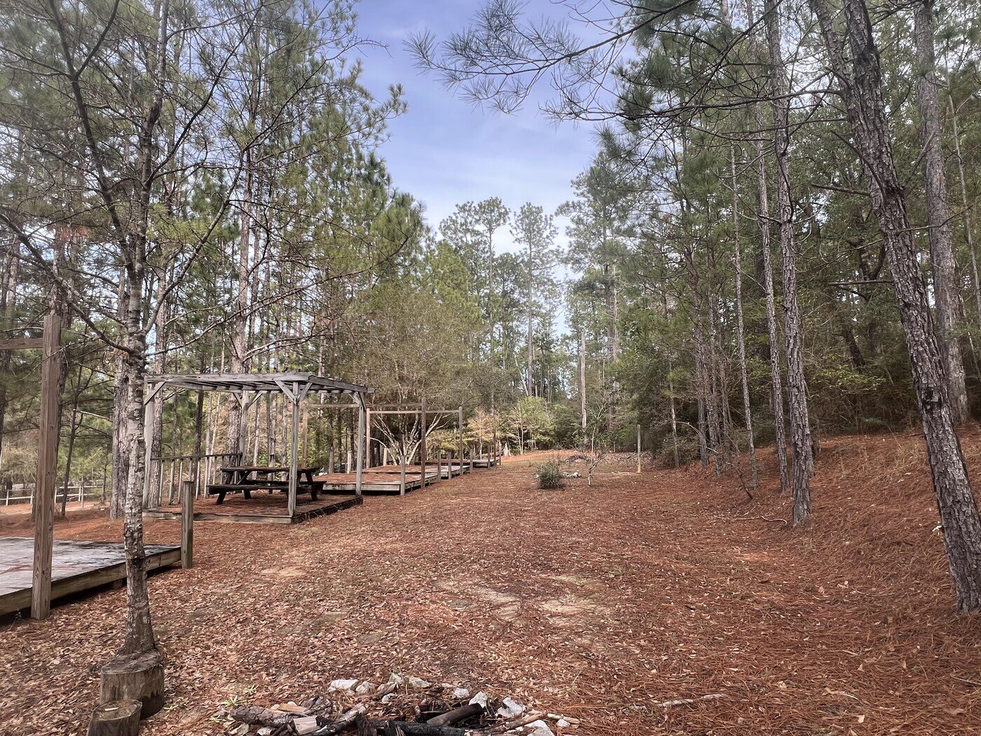 Pavilion from the pines