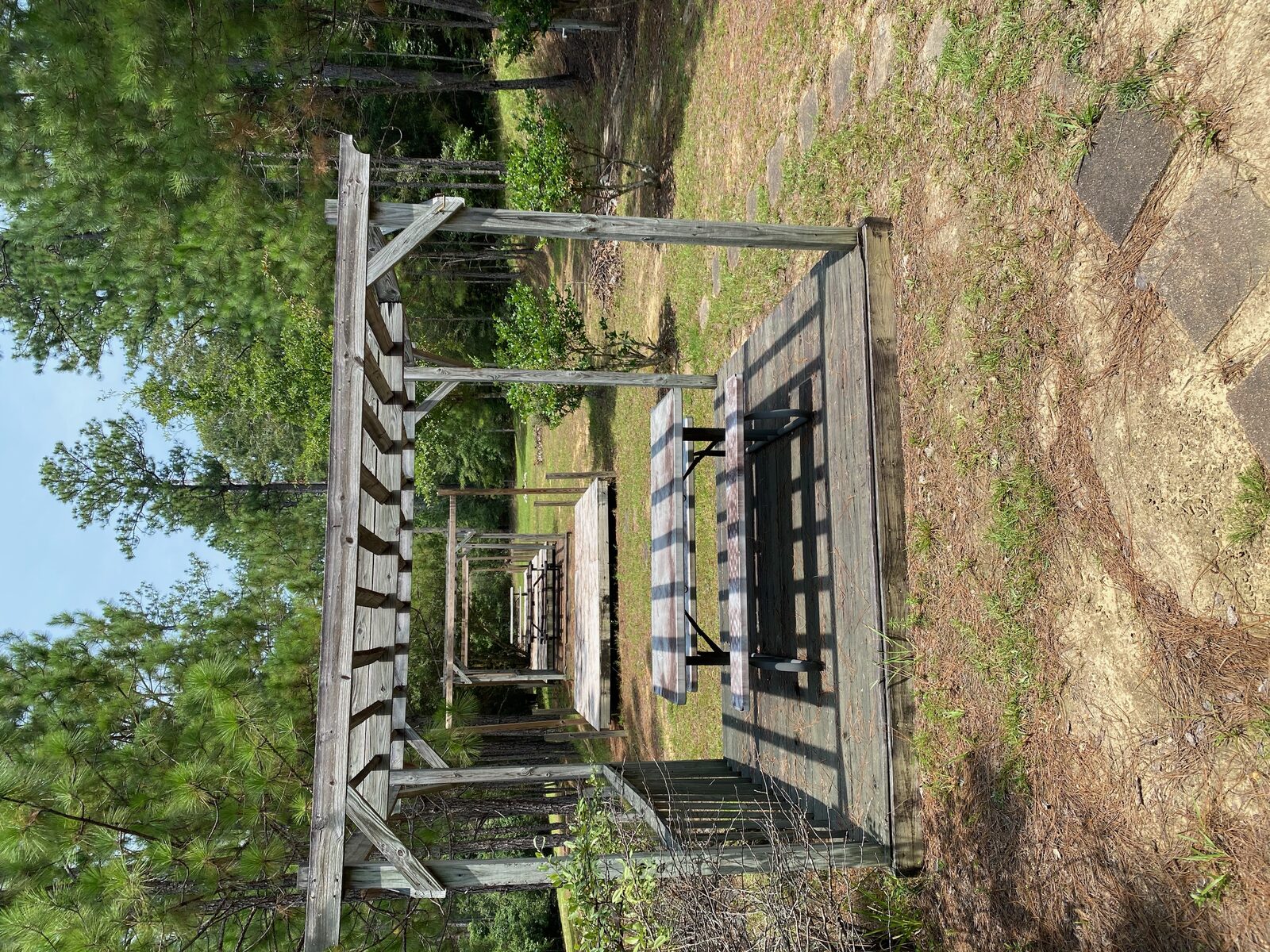 Pavilion in the pines