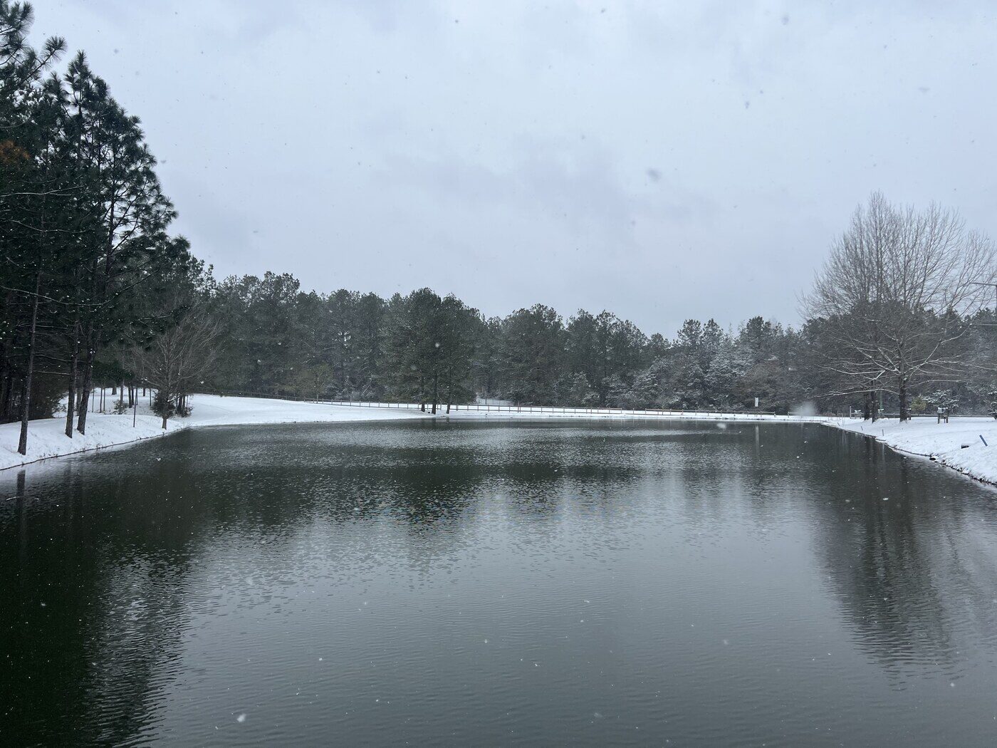 The pond at DeSoto Outfitters